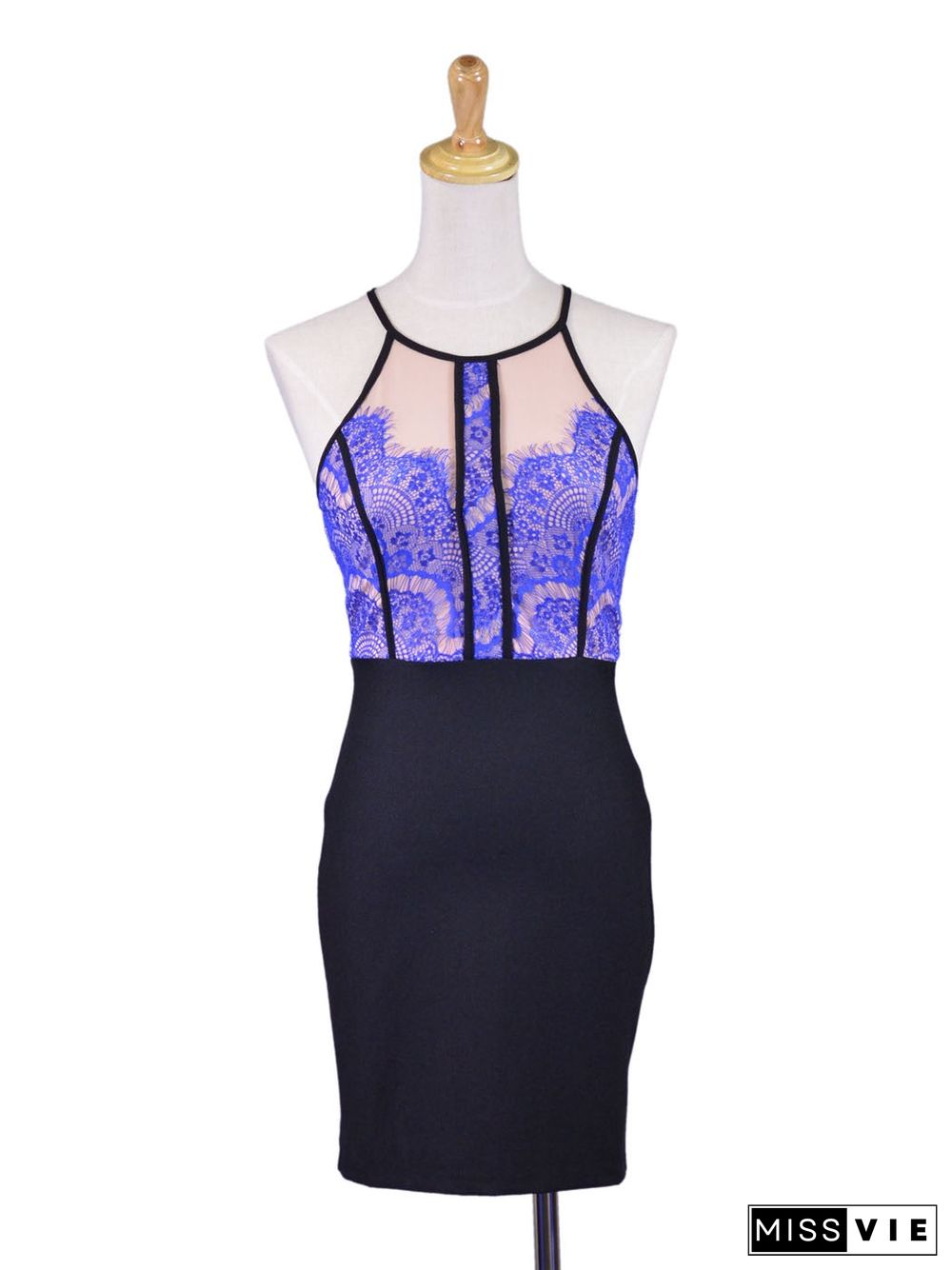 Lush Luxurious Royal Blue Dainty Lace Bodycon Evening Cocktail Party Dress