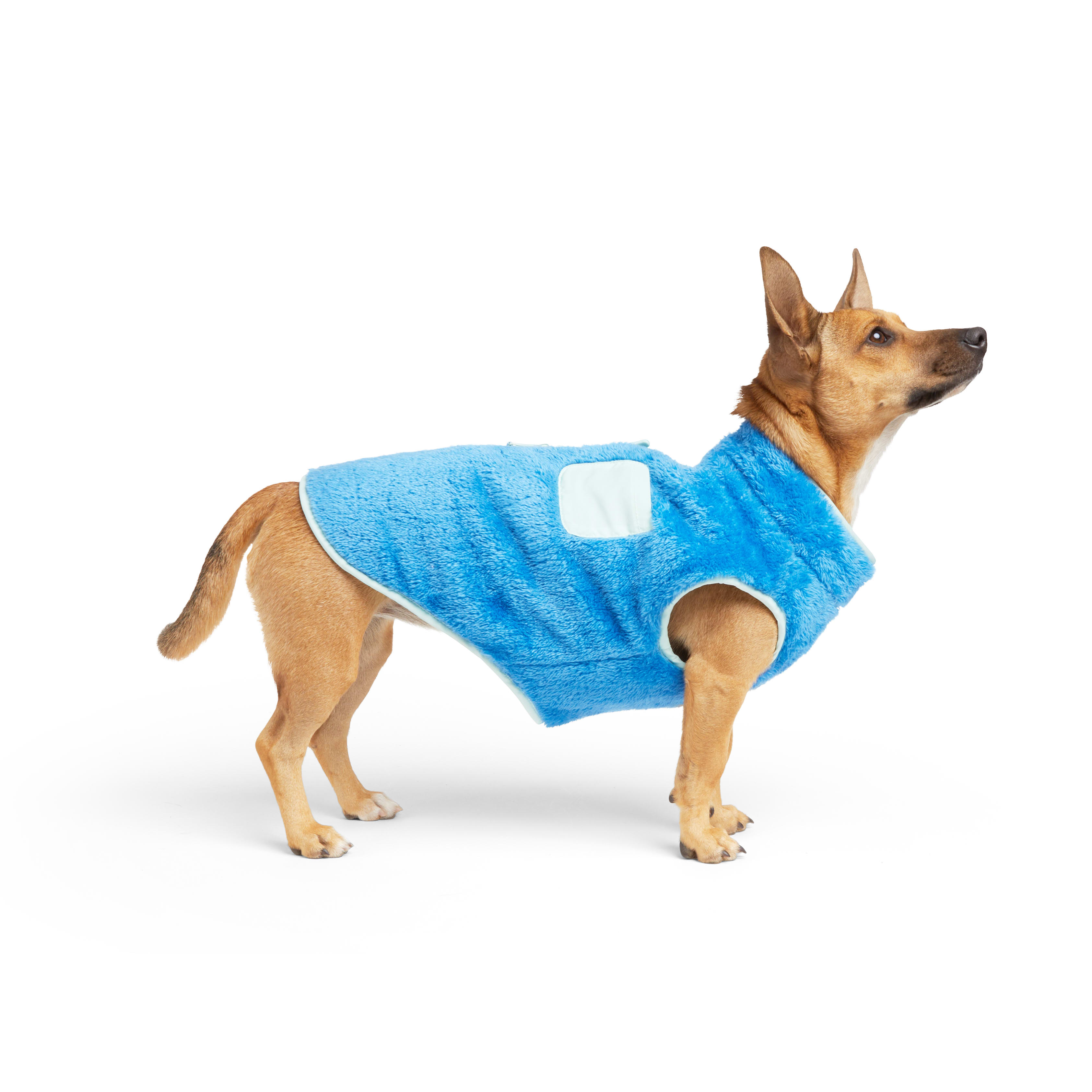 YOULY Blue Reversible Stripe Pet Jacket， XX-Small