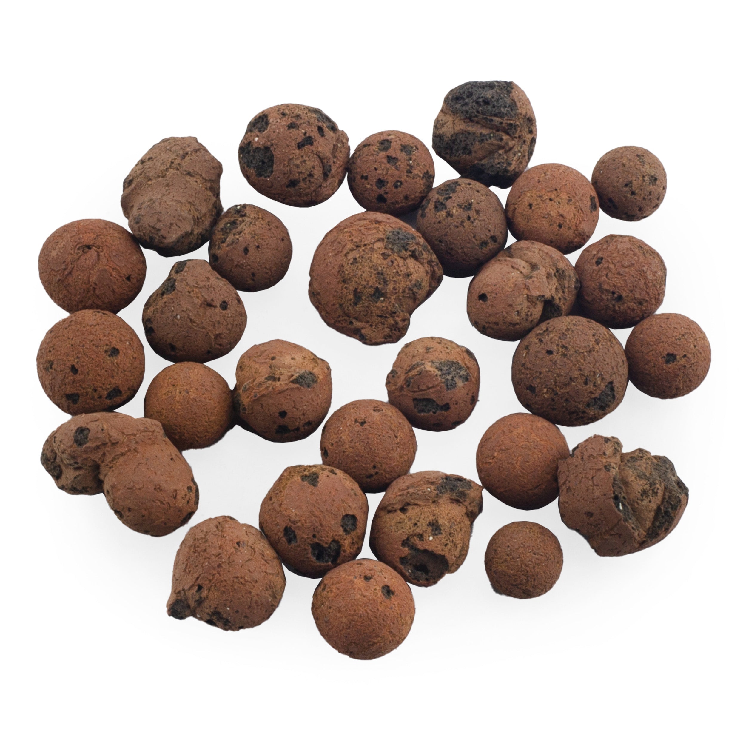 Expanded Hydroponic Clay Pebbles (2.5LB)， Horticultural Soil Amendment and Grow Media for Drainage， Gardening， and Aquaponics