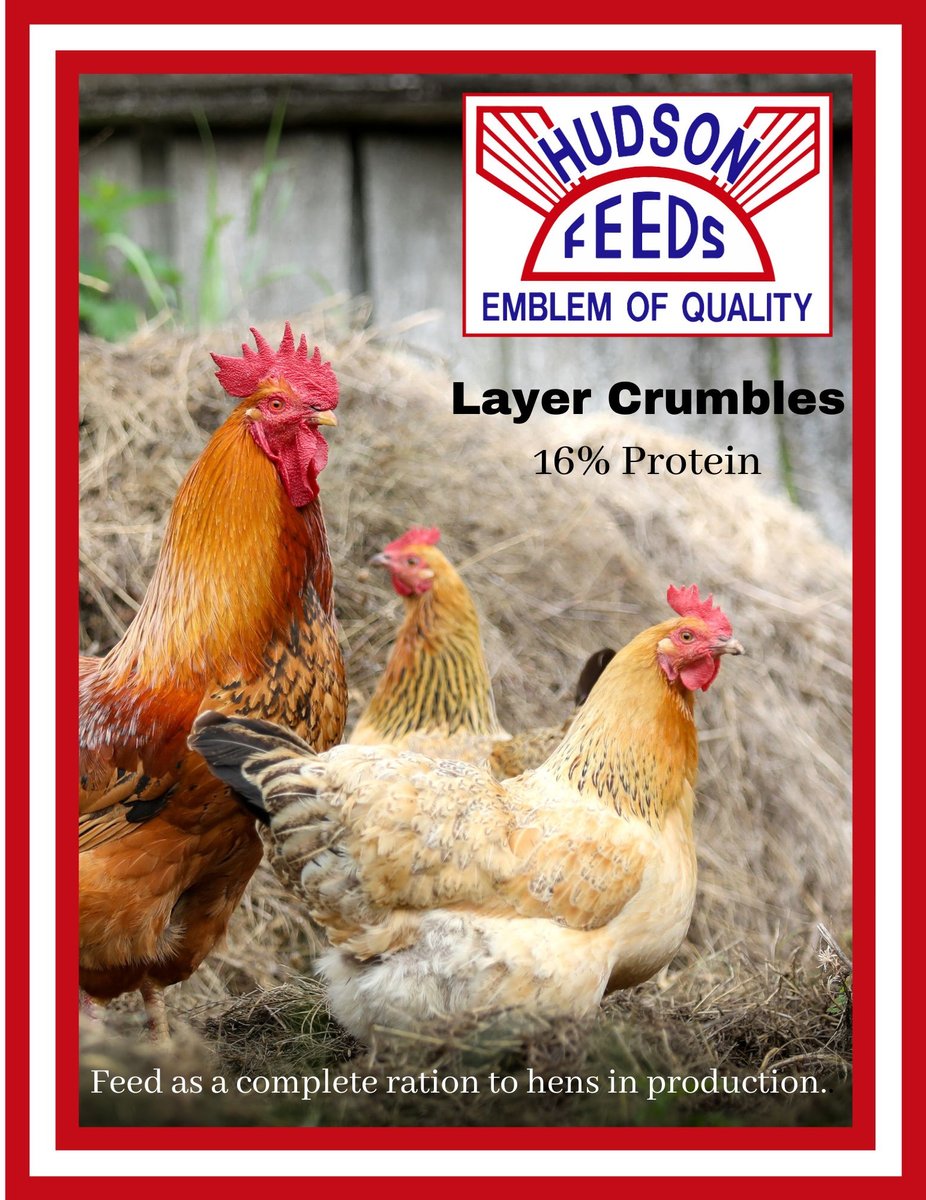 Hudson Feeds Poultry Feeds Cage Layer Complete Poultry Feed， 50-lb bag