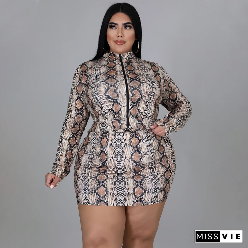 Snakeskin Print Plus Size Skirt 2 Piece Set