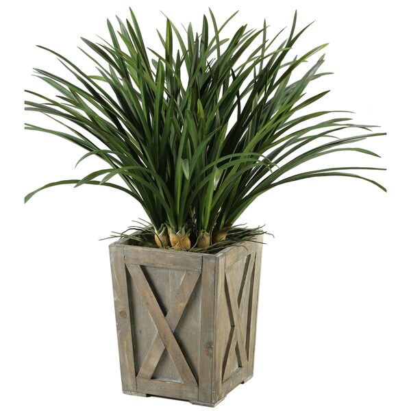 DandW Silks Green Areca Grass in Weathered Wooden Planter Box