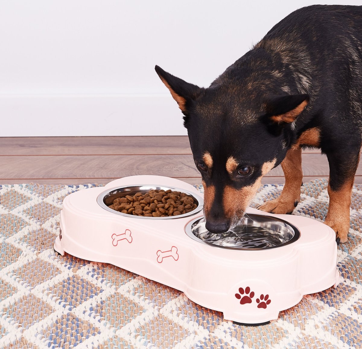 Loving Pets Dolce Double Diner Pet Dish， Pink