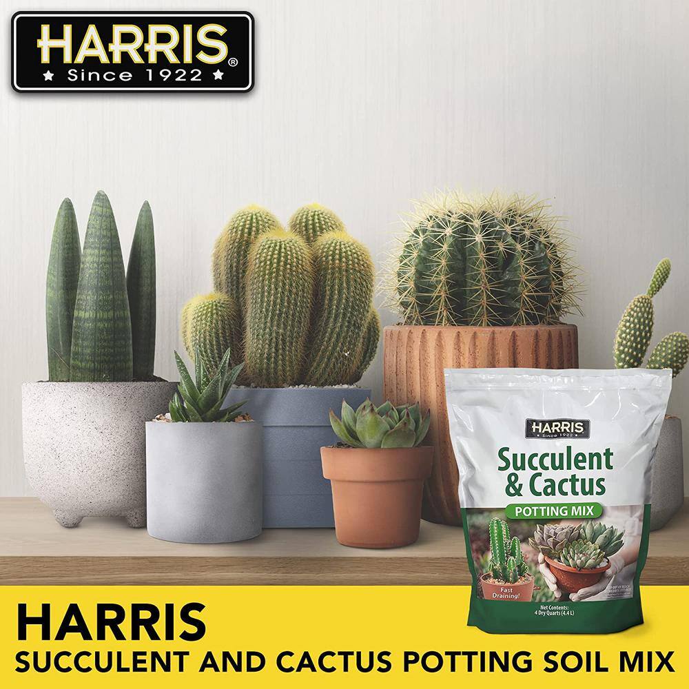 Harris 8 Qt. Premium Horticultural Vermiculite for Indoor Plants and Gardening and 4Qt. Succulent and Cactus Potting Soil Mix VERM-SUCCL