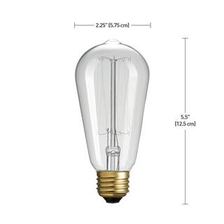 Globe Electric 40 Watt ST19 Dimmable Cage Filament Vintage Edison Incandescent Light Bulb Soft White Light (12-Pack) 313242