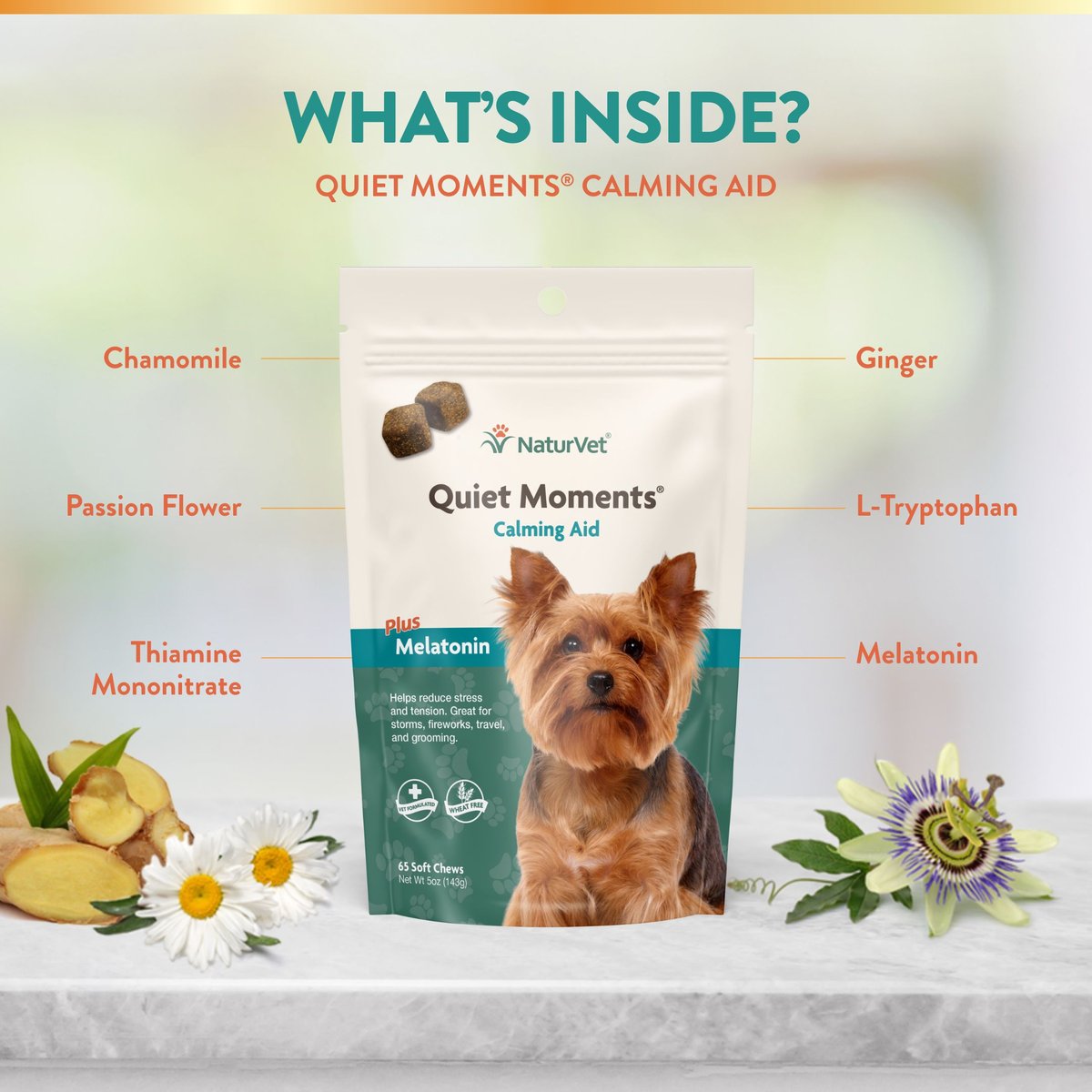 NaturVet Quiet Moments Plus Melatonin Soft Chews Calming Supplement for Dogs