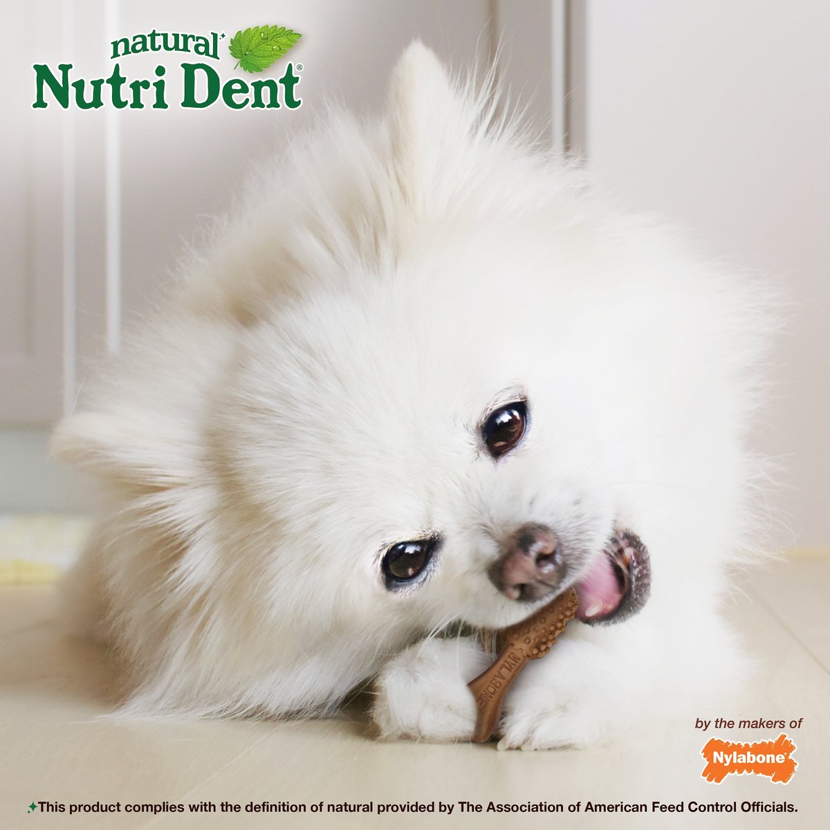 Nylabone Nutri Dent Mini Limited Ingredients Filet Mignon Natural Dental Dog Treats