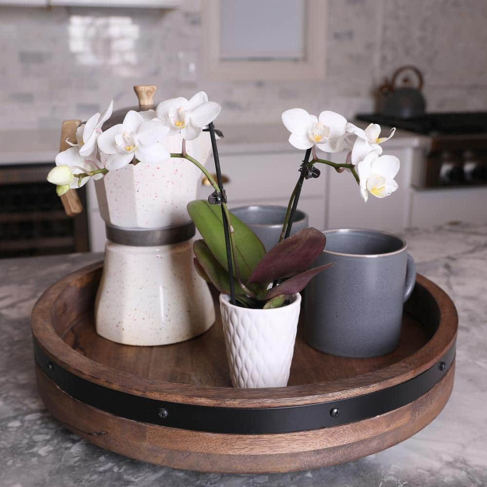 Just Add Ice Orchid (Phalaenopsis) Mini White with Yellow Throat Plant in 2-12 in. White Ceramic Pottery J5001