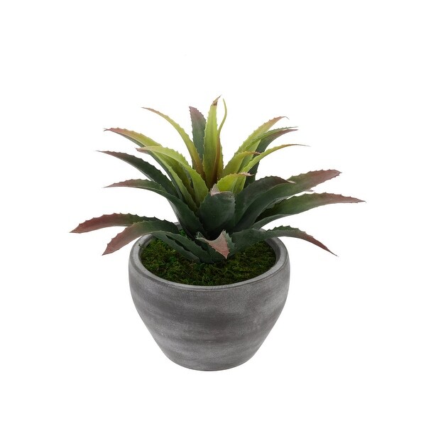 Faux Star Succulent in GreyWashed Ceramic Vase