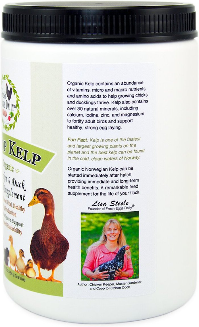 Fresh Eggs Daily Coop Kelp Organic Chicken and Duck Supplement