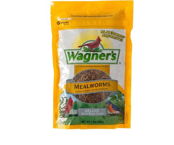 Wagner's Mealworms Wild Bird Food