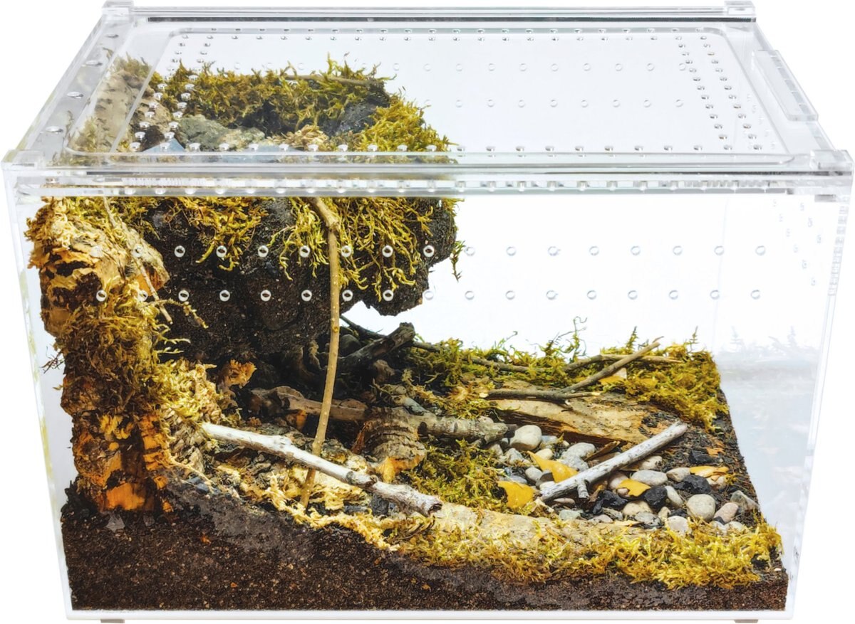 HerpCult Acrylic Enclosure Large Reptile Terranium， Clear， 3.3-gal