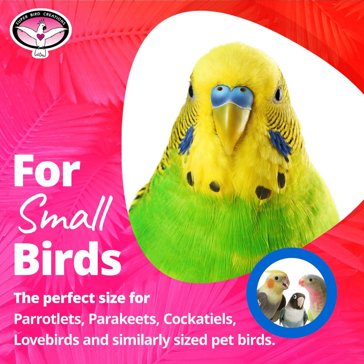 Super Bird Creations Bead Swing Bird Toy