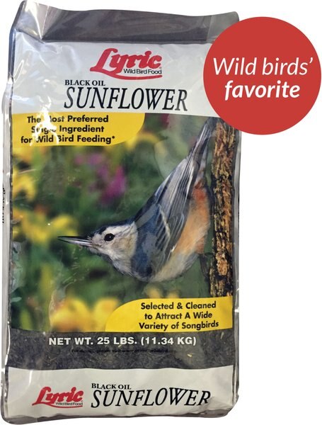 Lyric Black Oil Sunflower Wild Bird Food， 25-lb bag