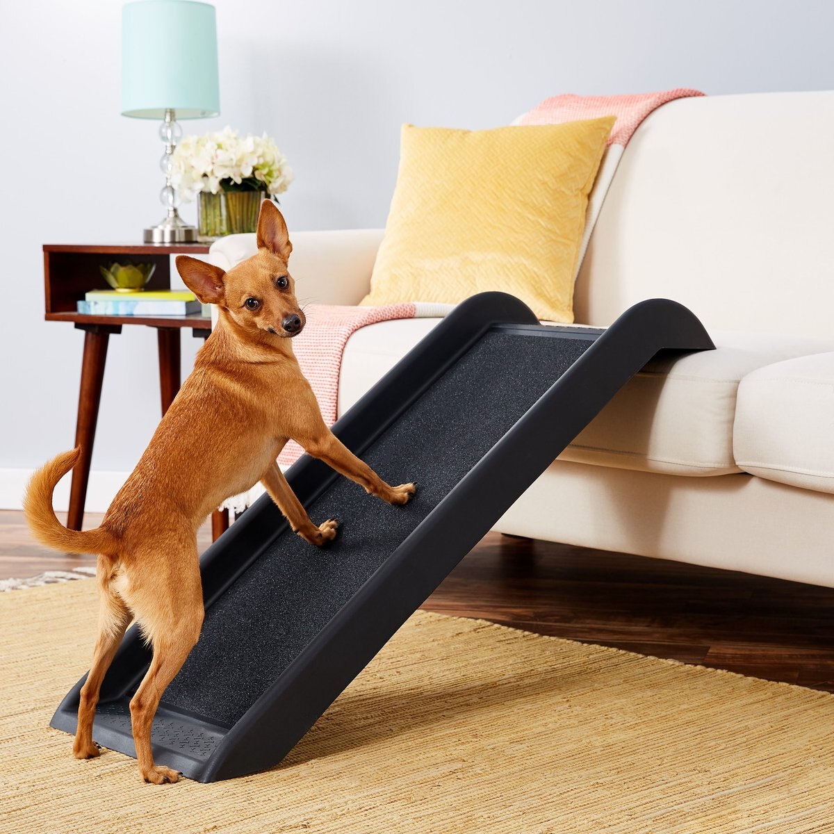 TRIXIE Short Safety Cat and Dog Ramp