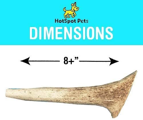 HOTSPOT PETS Whole X-Large Elk 8-9-in Antlers Dog Chew Treats