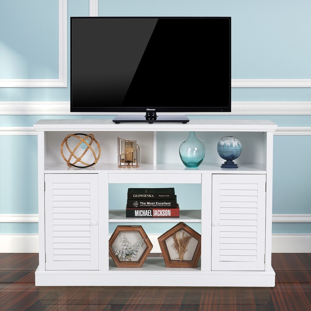 Sophia   William 48 Inch 2  Door Wooden Cabinet TV Stand