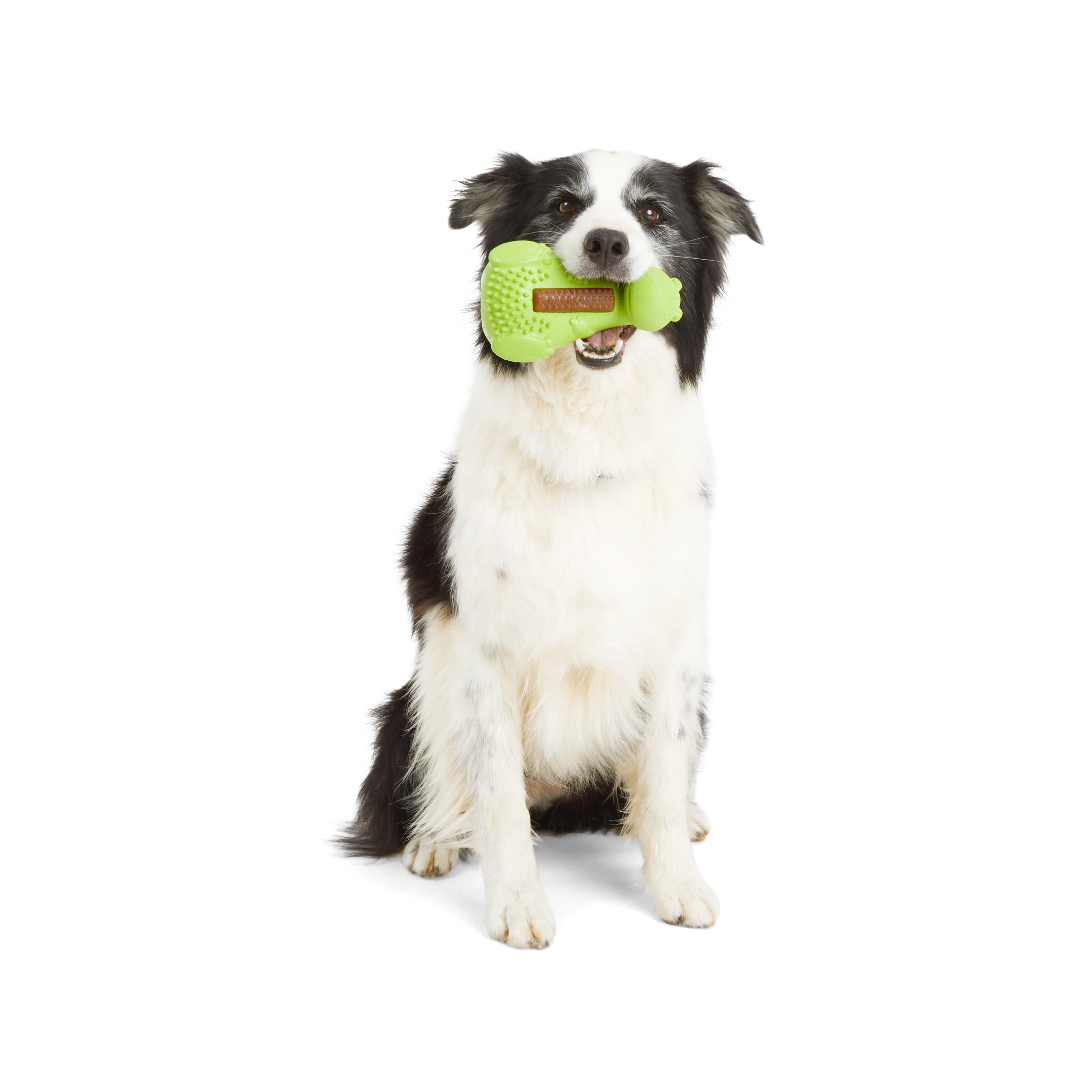 LEAPS  BOUNDS Wobble Dino Treat Dog Toy， Small