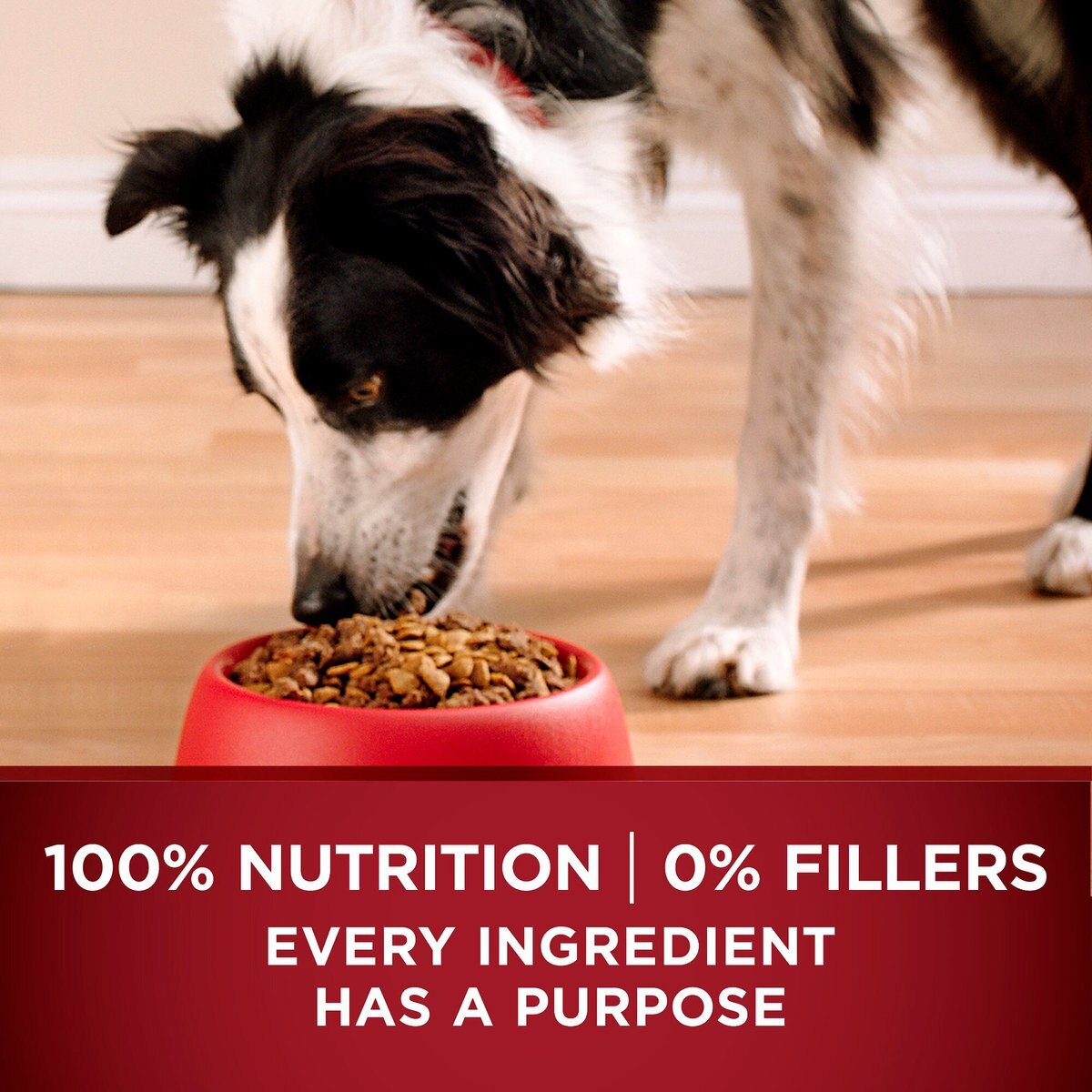 Purina ONE Natural True Instinct Grain Free With Real Beef Dry Dog Food