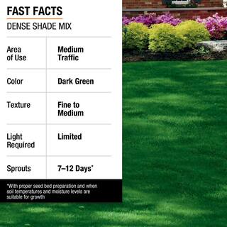 Vigoro 3 lbs. Dense Shade Grass Seed Mix with Water Saver Seed Coating 25689