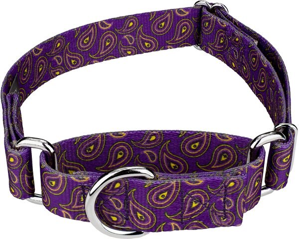 Country Brook Design Paisley Polyester Martingale Dog Collar