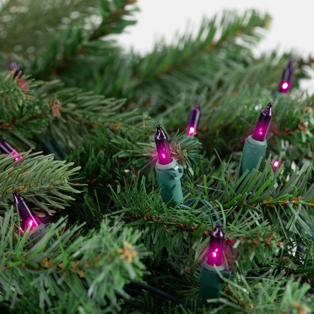 Northlight 50ct Mini String Lights Purple 10 x27 Green Wire