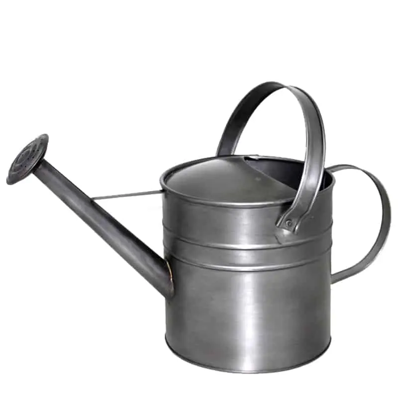 Iron Indoor Home Watering Can With Light Green Color Powder Coated Premium Quality Metal Watering Can Gardening Tool Supplies