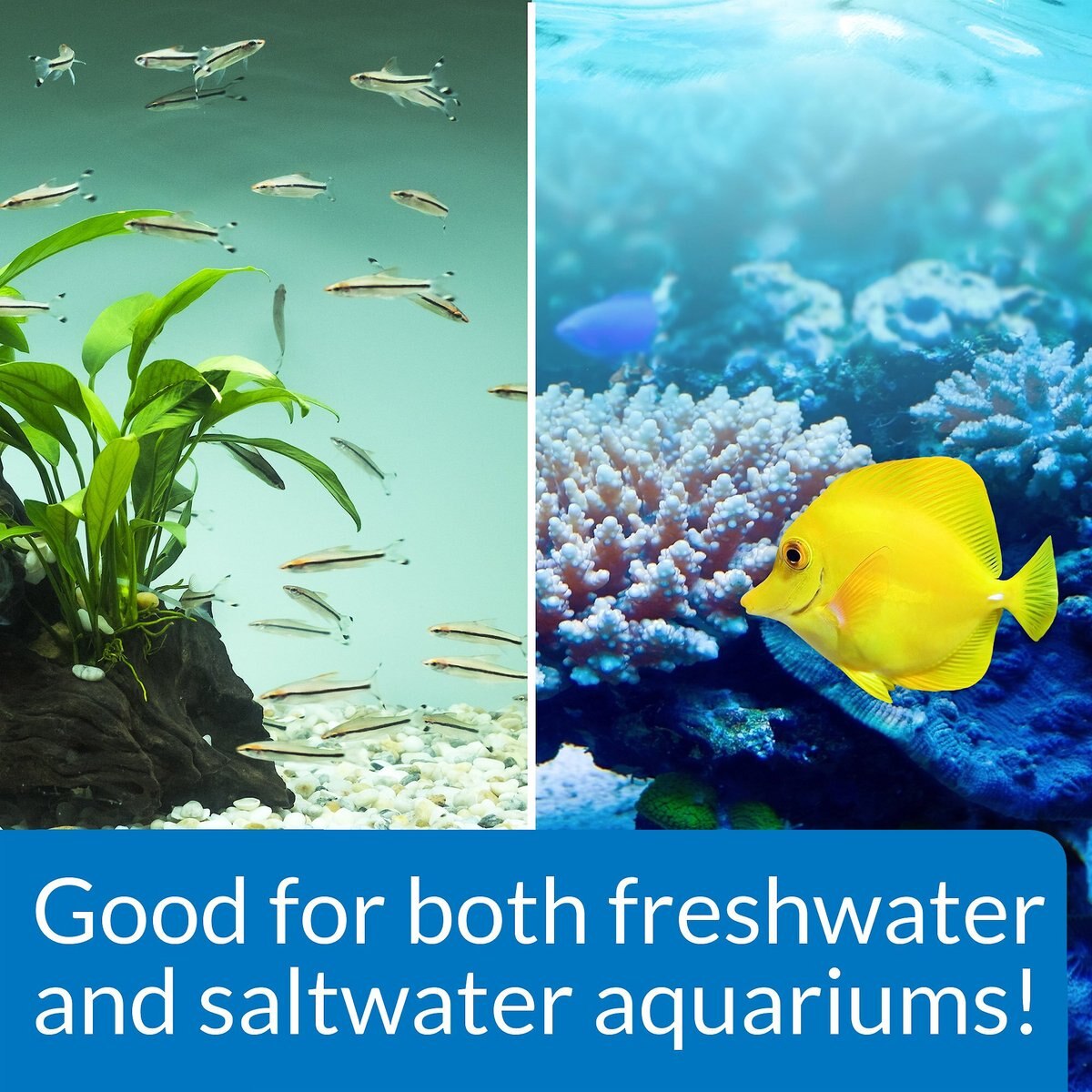 API Stress Zyme Freshwater and Saltwater Aquarium Water Cleaner