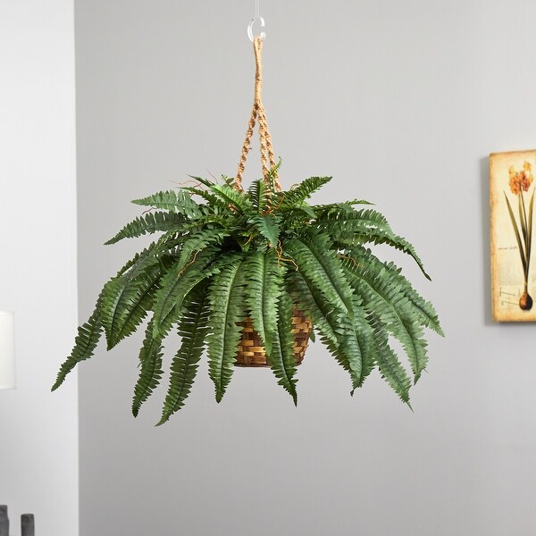 Large Boston Fern Hanging Basket