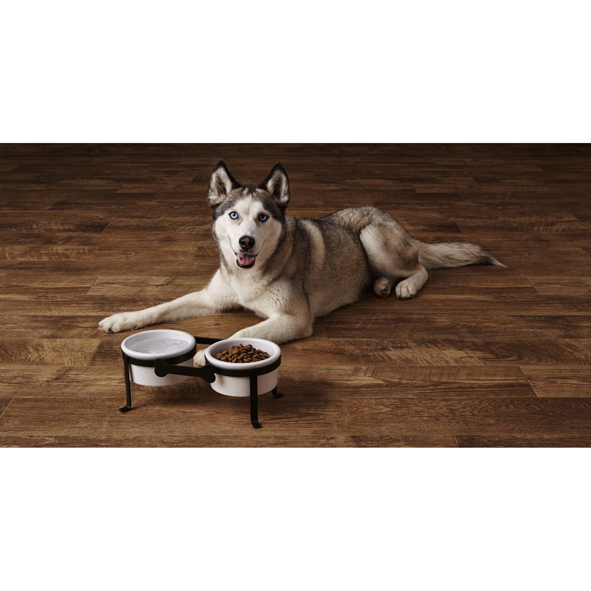 Harmony Iron Double Diner with Ceramic Dog Bowls， Large