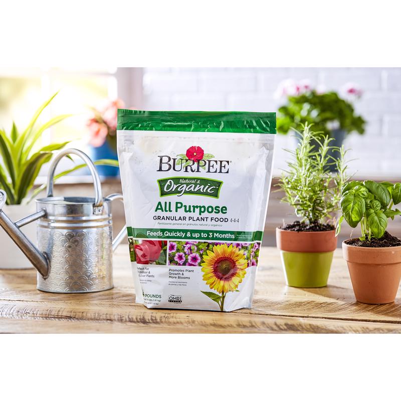 PLNT FOOD ALLPURPOSE 4LB