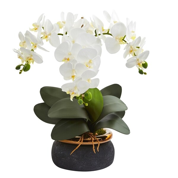 18 Phalaenopsis Orchid Artificial Arrangement in Black Vase with Bronze Rim