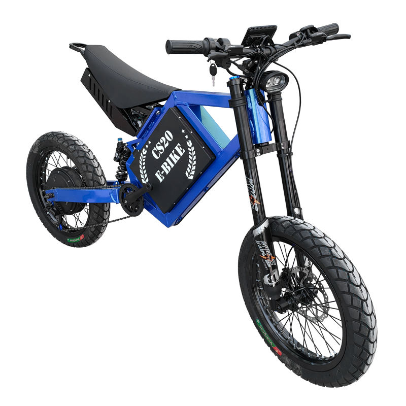 Paige Electric mountain bike motorcycle for engine kit dual battery bicycle dirt adult off road e bike e bicycle cycle ebike