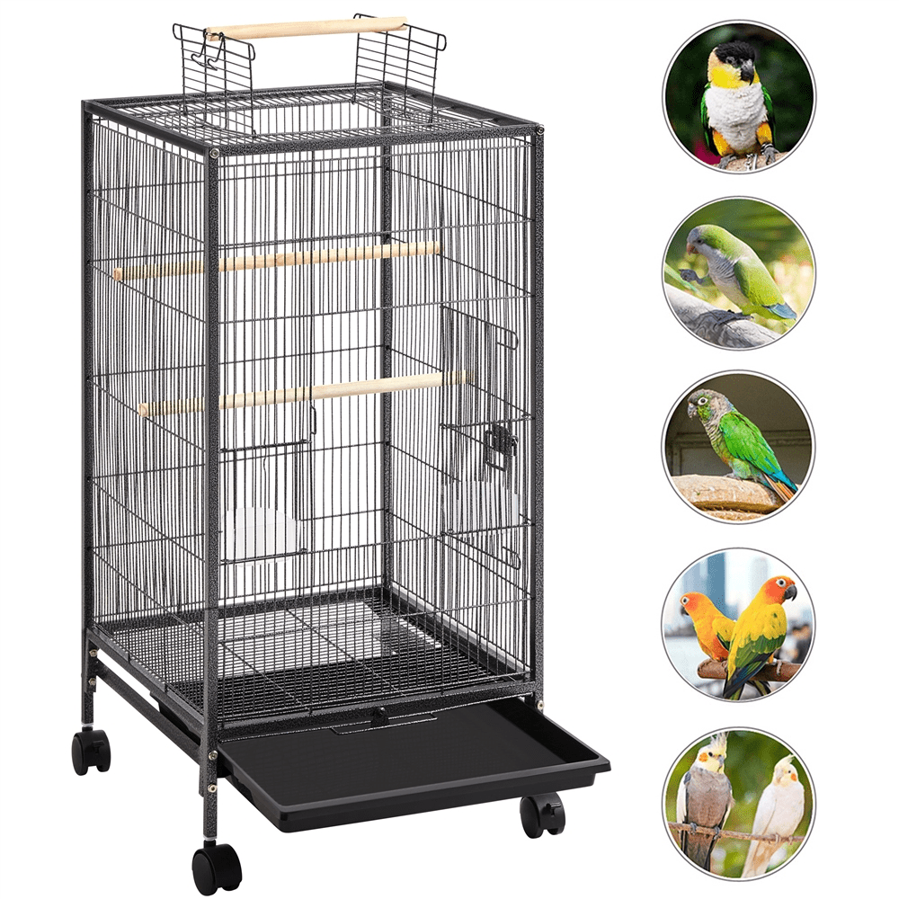 Easyfashion 40-Inch Open Top Parakeet Cage with Rolling Stand， Black