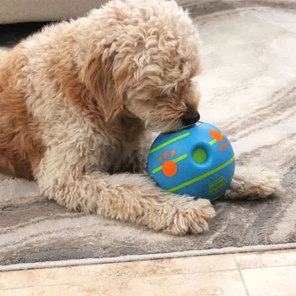 Pets Know Best Wobble Wag Giggle Treat Ball