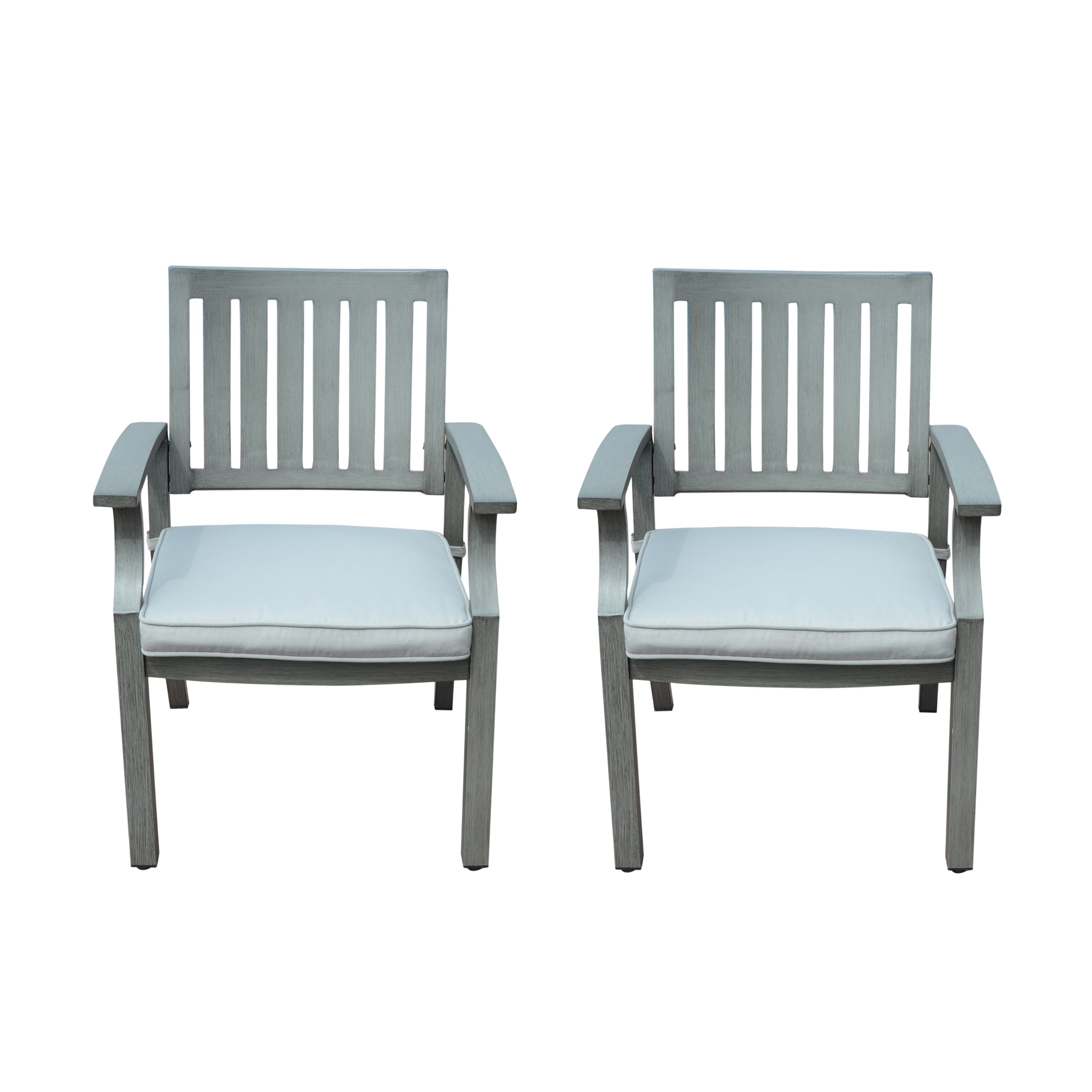 Zoey Outdoor Modern Aluminum Dining Chair With Cushion (Set of 2)