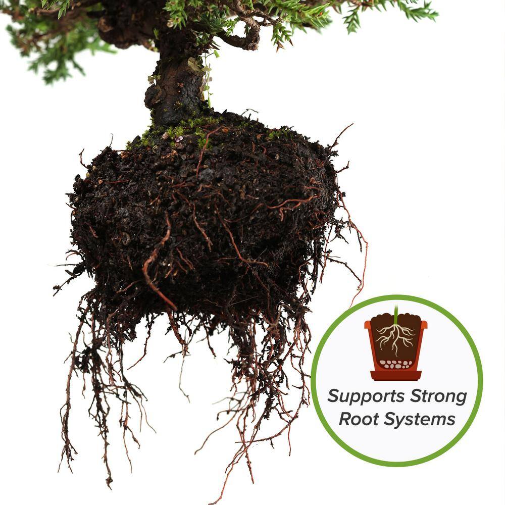 Perfect Plants 8 Qt. Organic Bonsai Soil Mix - Premium Balanced Long Term Soil Blend HDSoil013