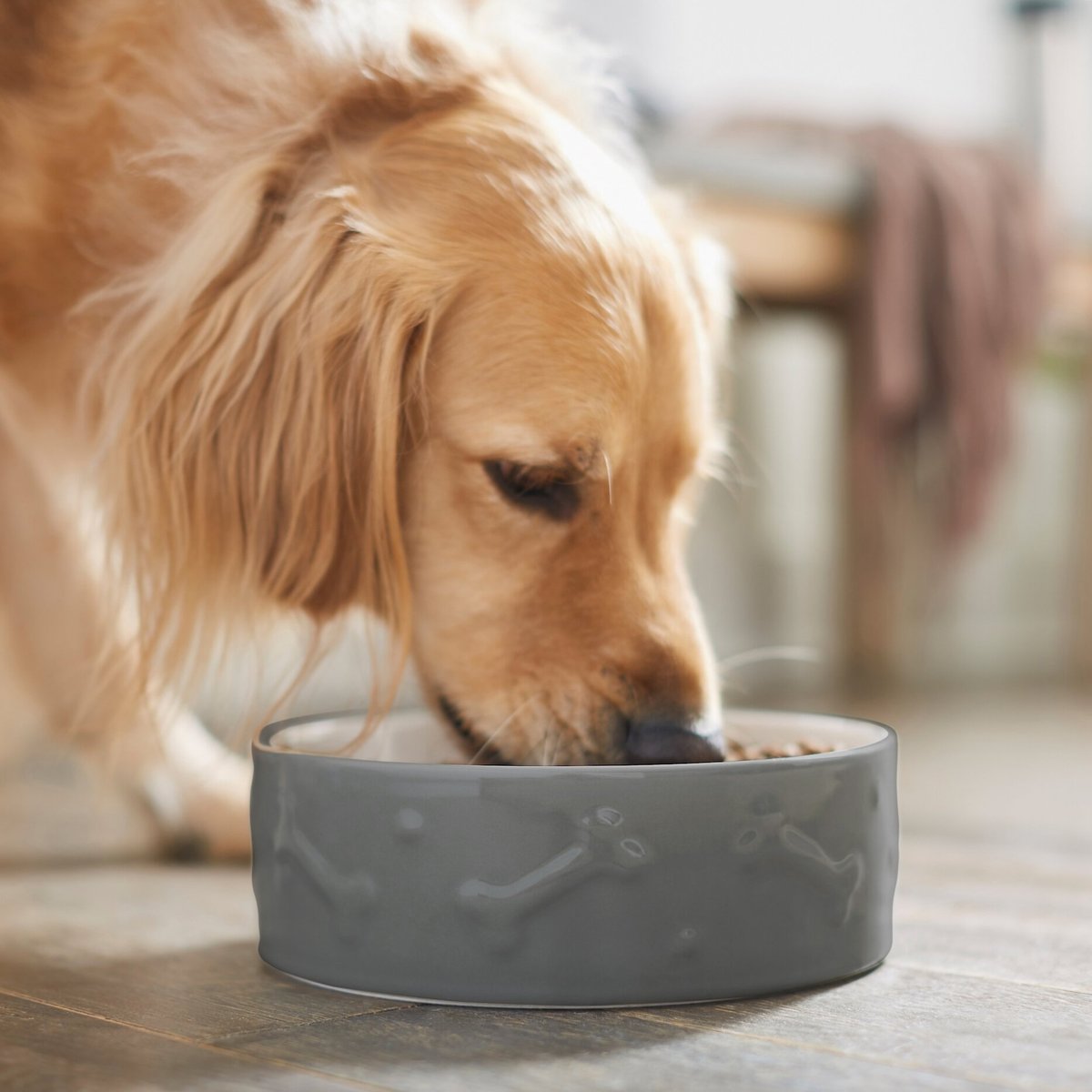 Frisco Bones Non-skid Ceramic Dog and Cat Bowl， Gray