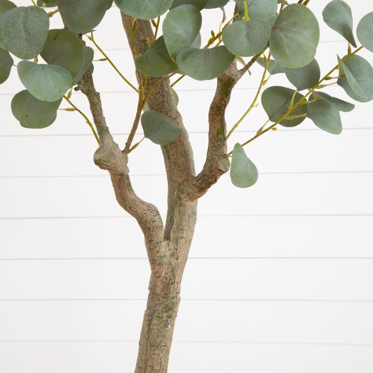 7.5' Faux Eucalyptus Tree | Realistic Indoor Greenery – Ed's Plant Shop