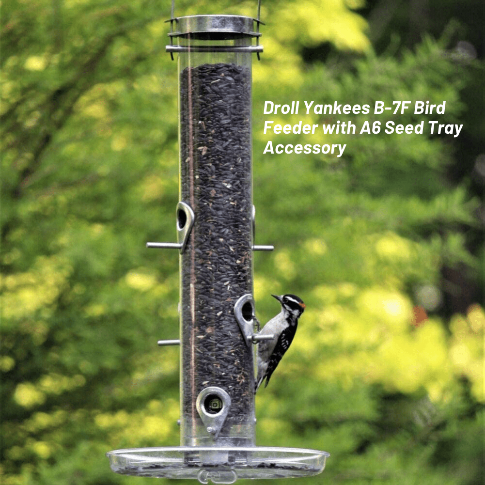 Droll Yankees 22.5-inch Tube Bird Feeder， 2.5 lb Capacity， Silver