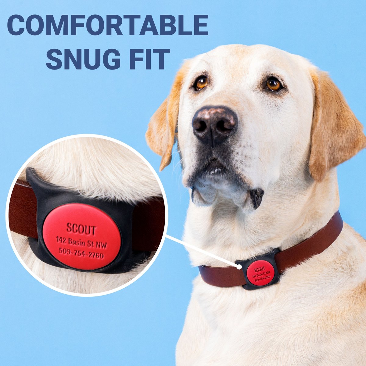 GoTags Engraved AirTag Dog and Cat Collar Holder