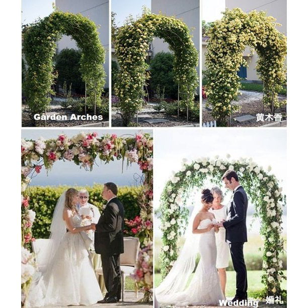 ZS 7.9 Ft Wedding Arch Garden Arch For Outdoor Party Prom Beach Garden Ceremony Floral Decoration Green Metal