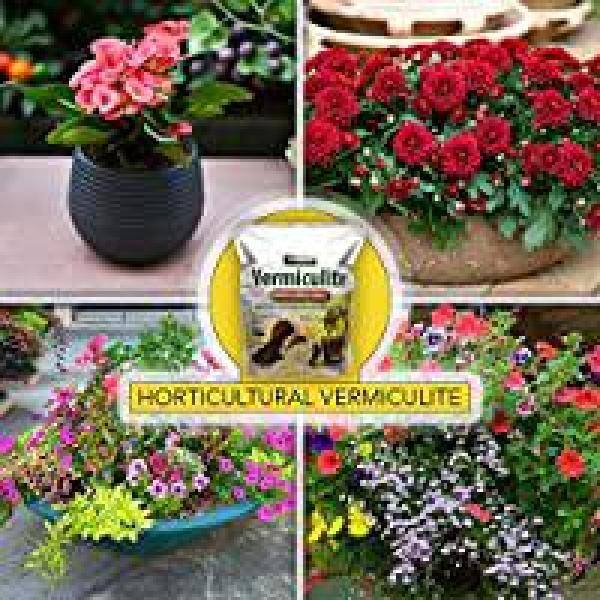 Harris 8 Qt. Premium Horticultural Vermiculite for Indoor Plants and Gardening and 4Qt. Succulent and Cactus Potting Soil Mix VERM-SUCCL