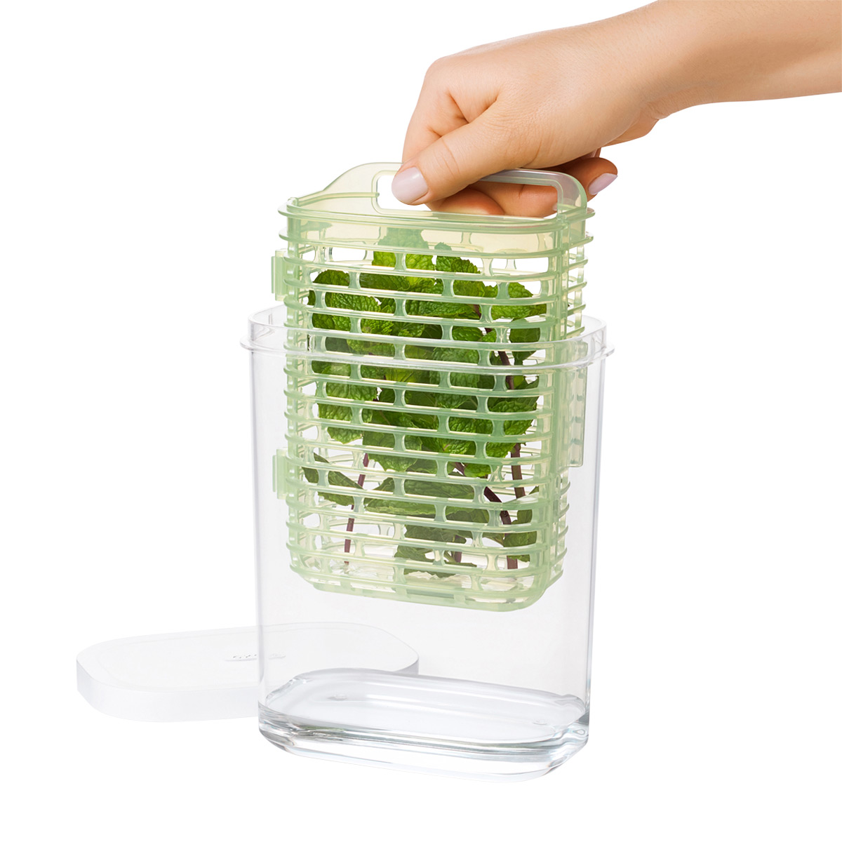 OXO greensaver Herb Keeper