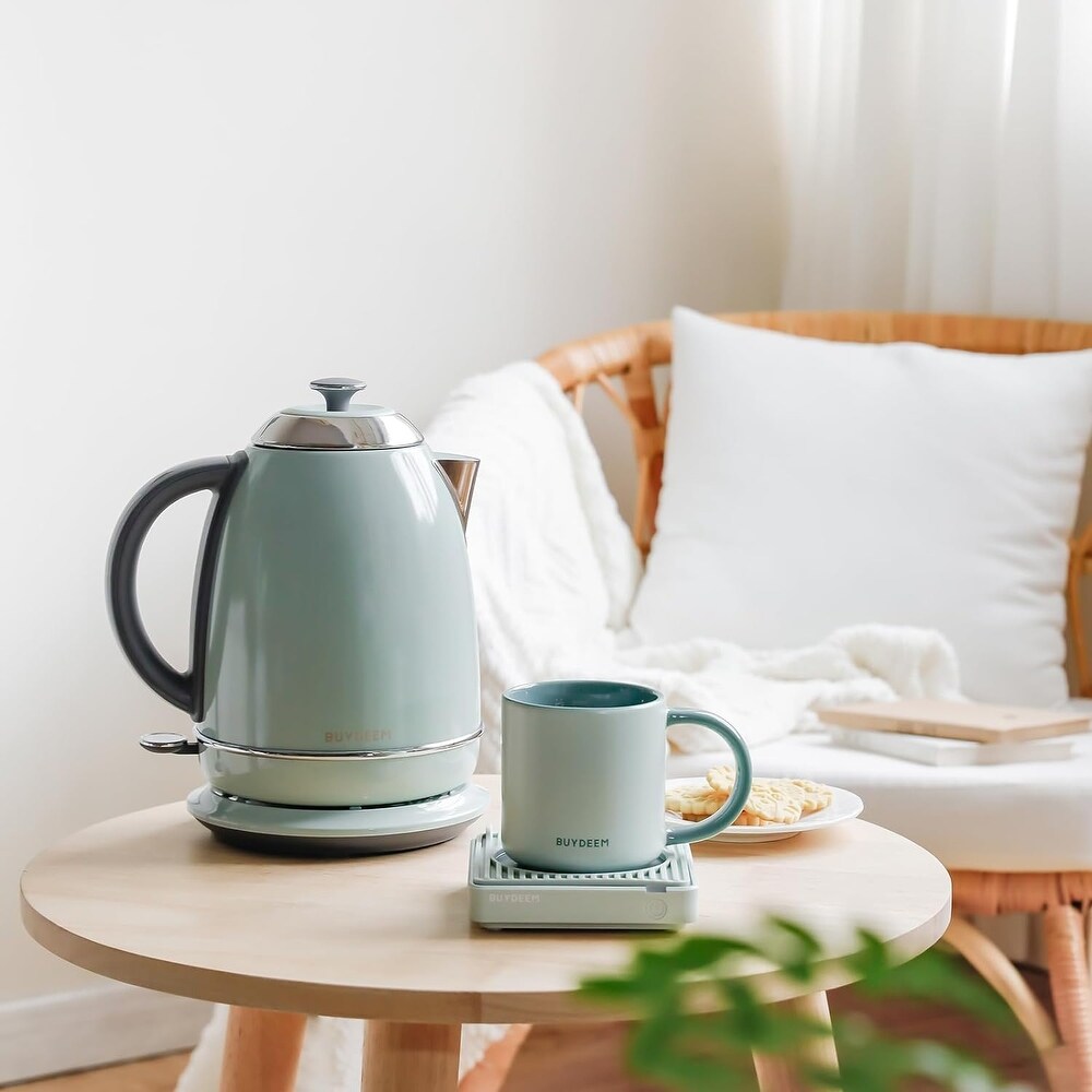 Stainless Steel Electric Tea Kettle