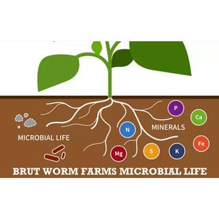 Brut Worm Farms Organic Worm Castings Soil Builder 30 Pound Bag (4-Pack) 4 x IC-PNPE-MSK3