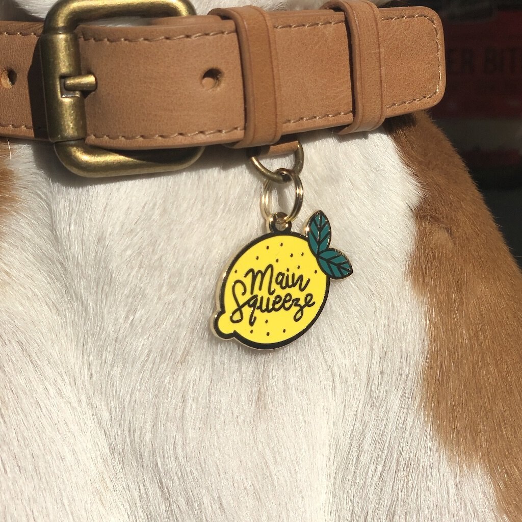 Two Tails Pet Company Main Squeeze Personalized Dog and Cat ID Tag