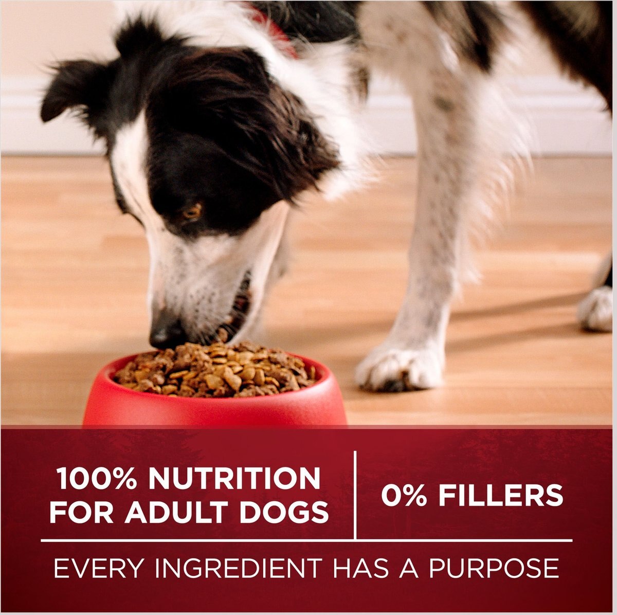 Purina ONE Natural True Instinct With Real Turkey and Venison High Protein Dry Dog Food