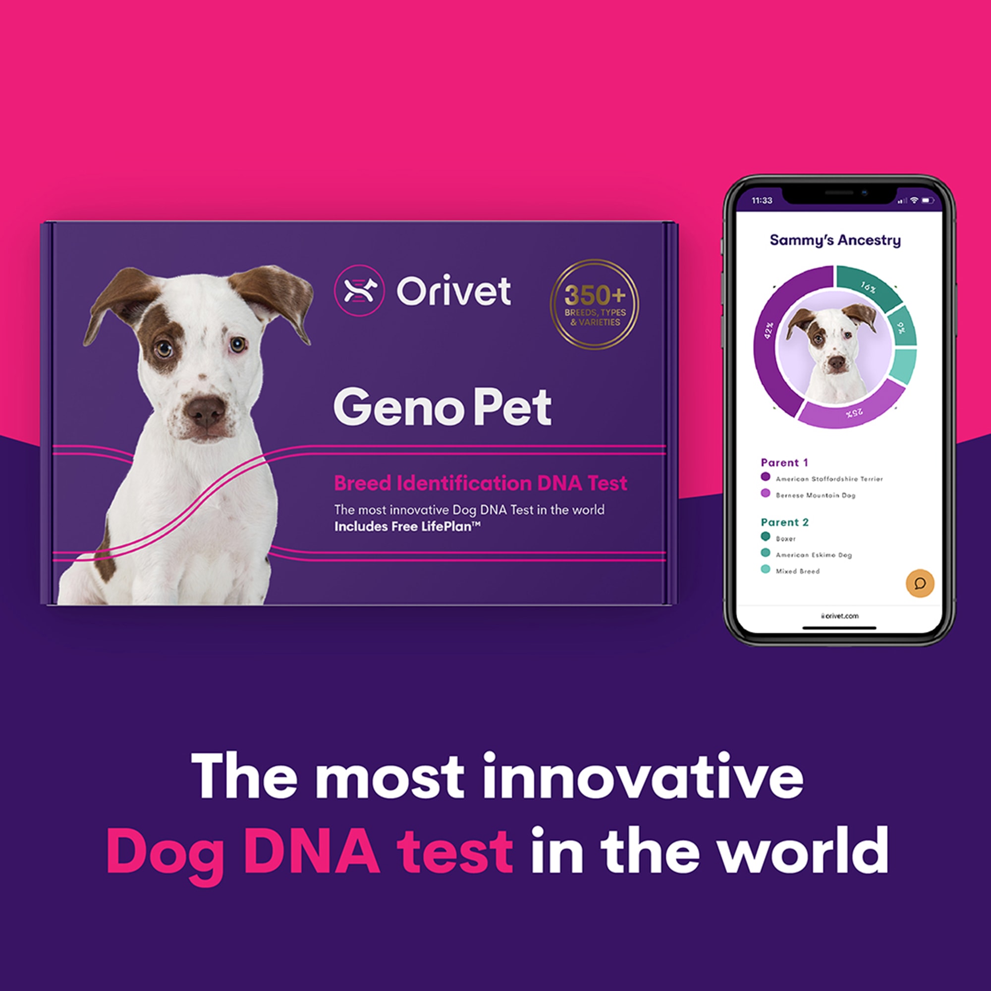 Orivet Geno Pet Dog DNA Breed Identification Test