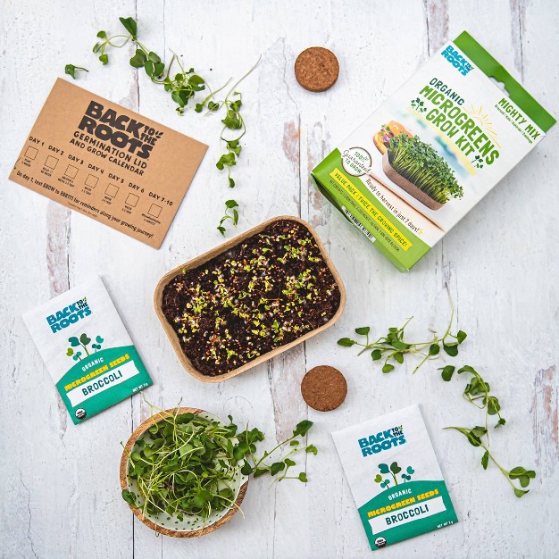 Back To The Roots 2pk Organic Microgreens Grow Kit Value Pack